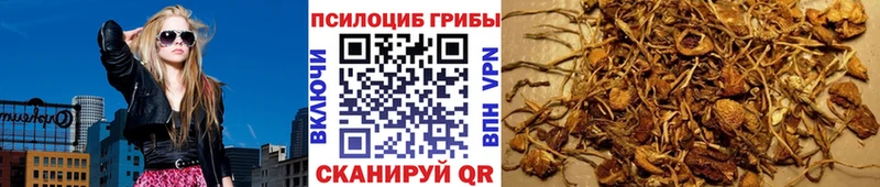 Галлюциногенные грибы MAGIC MUSHROOMS  купить   Томари 