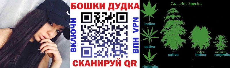 Бошки Шишки OG Kush  Томари 